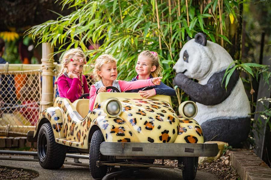 Kindjes in autootje met pandabeer