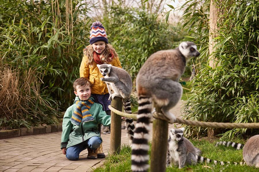 Eindhoven Zoo ticket(s) (voormalig Dierenrijk)